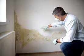 Best Air Quality Testing for Mold Spores  in Mount Zion, GA